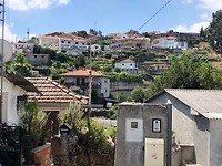 IMG_7883