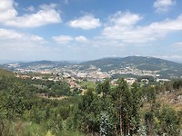 IMG_7886