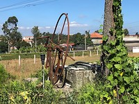 IMG_7890
