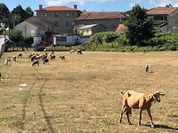 IMG_7896