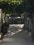 IMG_7901