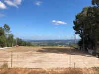 IMG_7906