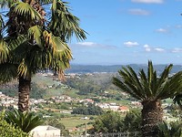IMG_7907