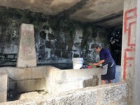 IMG_7910