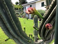 IMG_7913