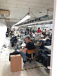 IMG_7916