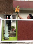 IMG_7923