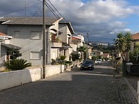 IMG_7927