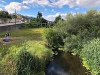 IMG_7930
