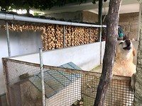 IMG_7932