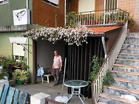 IMG_7934