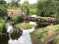 IMG_7940
