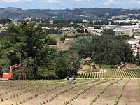 IMG_8048