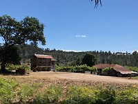 IMG_8058