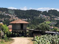 IMG_8065