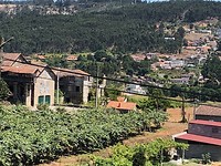 IMG_8066