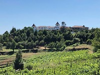 IMG_8082