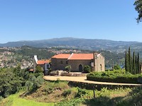IMG_8086