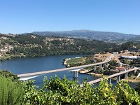 IMG_8088