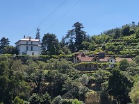 IMG_8091