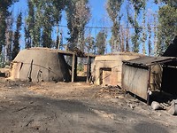 IMG_8151