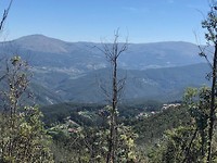 IMG_8176