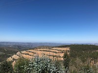 IMG_8179