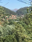 IMG_8210