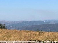 IMG_8219