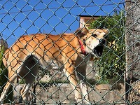 IMG_8229