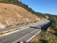 IMG_8230