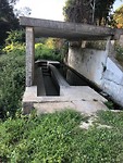 IMG_8231