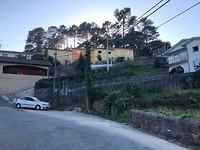 IMG_8232