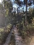 IMG_8237