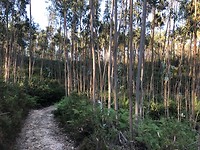 IMG_8239
