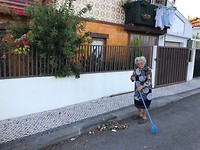 IMG_8242