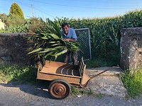 IMG_8268