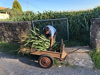 IMG_8269