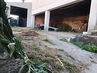 IMG_8270