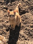 IMG_8287