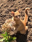 IMG_8292