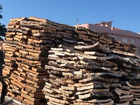 IMG_8295