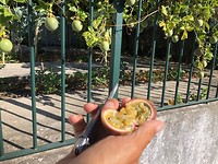 IMG_8297