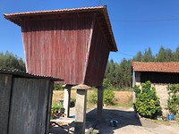 IMG_8308