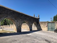 IMG_8309