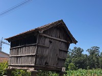 IMG_8314