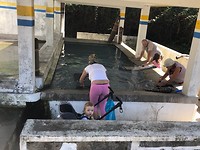 IMG_8317