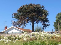 IMG_8328