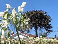 IMG_8330