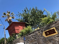 IMG_8339